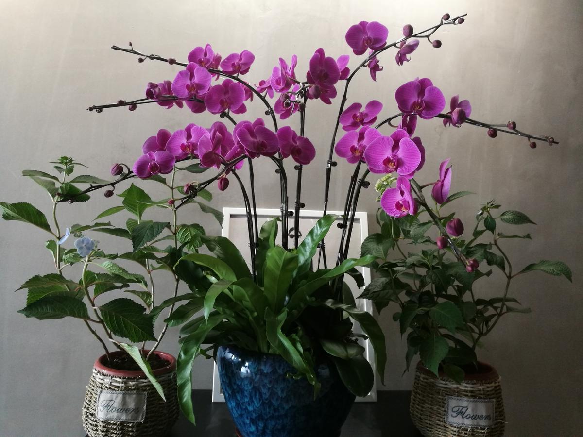 Ma Cherie Homestay Thượng Hải Ngoại thất bức ảnh